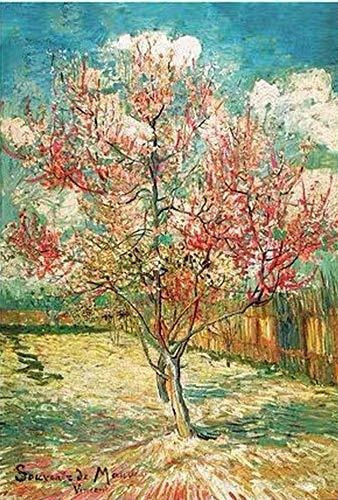 5d Pintura Por Diamantes - Blossoms - Van Gogh (30x40cm)