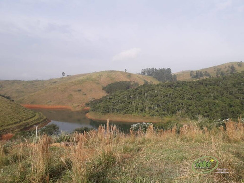 Imagem 6 de 7 de Área 3,6 Hectares - Santa Luzia - Sjc - 525