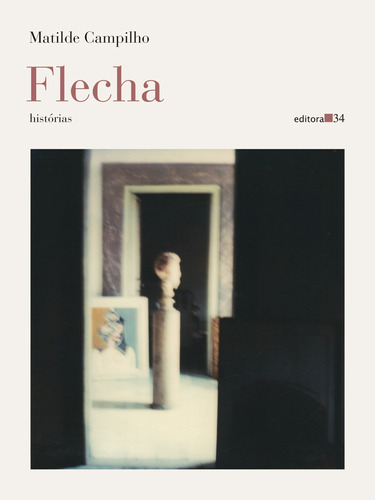 Flecha (histórias), de Campilho, Matilde. Editora 34 Ltda., capa mole em português, 2022