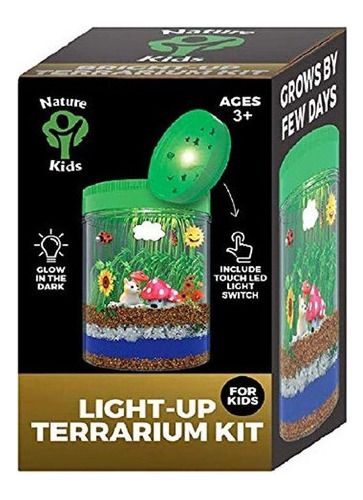 Kit De Terrario Iluminado Para Niños Con Luz Led En La T