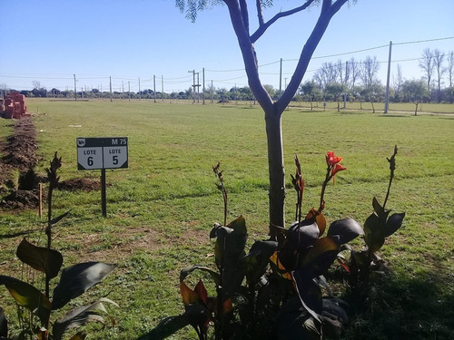 Terreno En Venta Colonia Caroya - Aires De Caroya