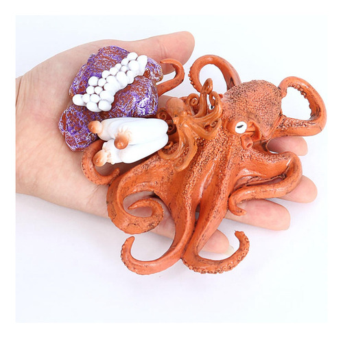 4 Del Ciclo De Vida De Un Pulpo, Insectos Plástico Pulpo