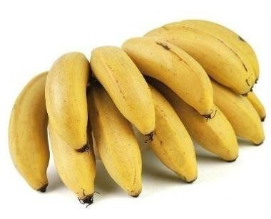 Kit 200 Mudas De Banana Maçã, Prata Ou Nanica + Manual