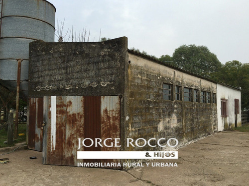 Imagen 5 de 16 de 400 Has. Campo Ganadero - San Vicente -
