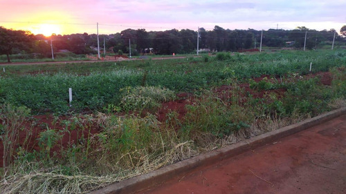 Imagem 11 de 15 de Terreno À Venda, 300 M² Por R$ 50.000,00 - Loteamento Universitário Das Américas - Foz Do Iguaçu/pr - Te0456