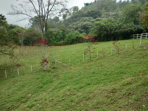 Venta De Finca En Envigado