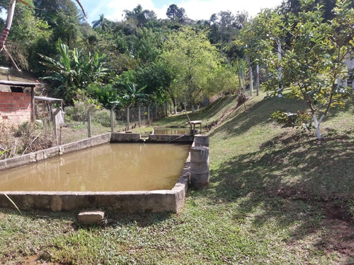 Imagem 9 de 18 de Chácara 2.000 M2, Casa Sede, 3 Dormitórios, Área Gourmet, Churrasqueira, Piscina, Lago Artificial, Árvores Frutiferas, Poço, Água Sabesp - Ch00103 - 69690277