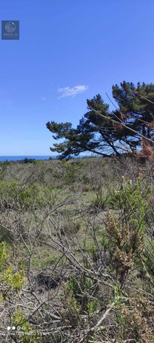 Parcelas En Algarrobo A 10 Minutos De Playa Terrenos De 5 Ha