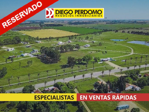 Terreno De 1393m² En Venta En Parque Del Lago