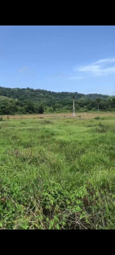 Vendo 31,440 Metros Cuadrados De Terreno En Villa Altagracia En La Misma Avenida A 800 Pesos El Metro, Rep.dom