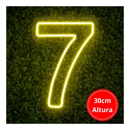 Painel Neon Numero Sete 7 Instagram Iluminação 30 Cm Cor Branco quente 110V/220V