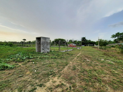 Vendo 30 Tarea En Juan Dolio, Para Cualquier Tipo De Proyec