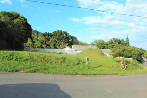 Imagem 4 de 13 de Terreno De Esquina Casemiro De Abreu 866m² Bairro Perpétuo Socorro - 12860