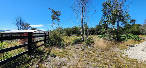 Venta De Parcela Cerca San Javier Pelluco Alto