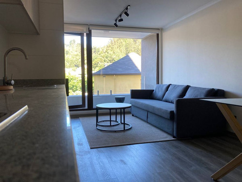 Departamento En Arriendo De 1 Dorm. En Concepción