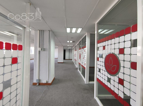 Renta - Oficina - Leibnitz - 246 M2 - Piso 11