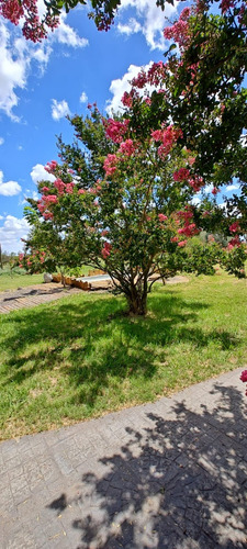 Chacra En Venta, 11 Hectáreas, Aldea San Antonio (gualeguaychú) Casa Con Piscina.