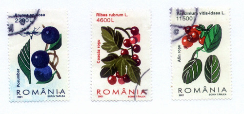 Flora - 2 Séries De Selos Da Romenia - N541