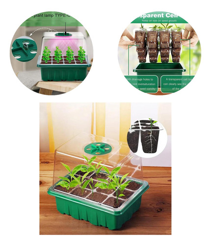 Kit De Inicio De Plantas Ligeras Para Jardinería Interior Co