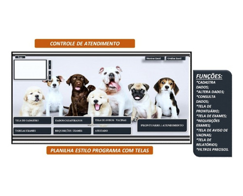 Controle Para Clinica Veterinária! Planilha Maravilhosa!