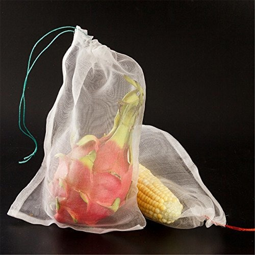 Alegre Almacenar Planta De Jardin Frutas Proteger Cordon Bol