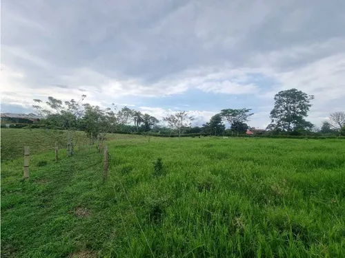 Finca Para La Venta Entre Quimbaya Y Filandia Con Excelenteubicación