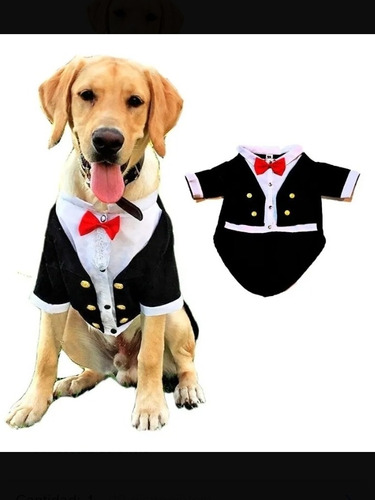 Smoking Terno Para Perros Talla 3