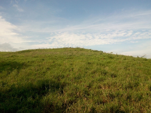 Imagen 26 de 27 de Se Vende Finca En Caicara De Maturin Sec Bajo Gde Ve02-1143cai-mtru