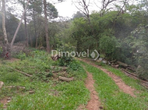 Imagem 8 de 13 de Sitio - Belem Velho - Ref: 21727 - V-21727