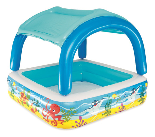 Piscina Inflable Bestway Con Ventana Canopy