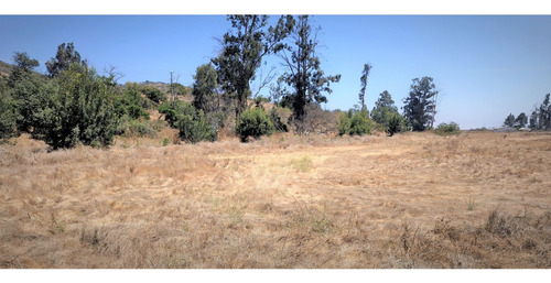 Venta De Sitio Terreno De 7,1 Hectáreas, En Tabolango, LiMac
