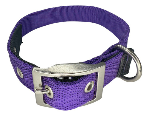 Collar Para Perros Natcan Tipo Hamilton Hebilla Reforzada Color Violeta Tamaño del collar S