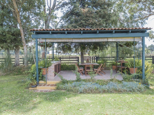 Imagen 13 de 30 de Rancho Morera En Venta, Carretera A Dolores Hidalgo En San M