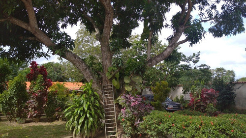 Casa En Venta Higuerote Club Campestre El Paraiso A Iz