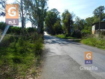 Imagen 6 de 10 de Terreno En Punta Del Este (el Tesoro) - Ref. 1467