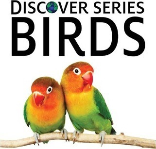 Birds - Xist Publishing (paperback)