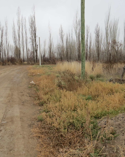 Imagen 4 de 9 de Re/max Vende Terreno En Cervantes