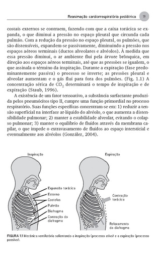 Reanimação Cardiorrespiratória Pediátrica: uma abordagem multidisciplinar, de Souto, Maria Buratto. Editorial Artmed Editora Ltda., capa mole em português, 2008