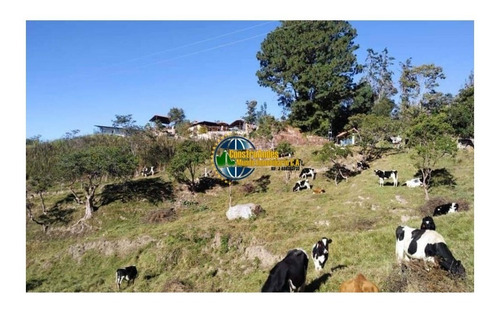 Imagen 4 de 10 de Finca Jaji