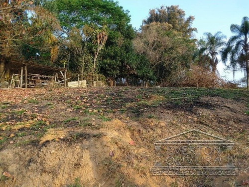 Imagem 4 de 4 de Terreno - Jardim Olimpia - Ref: 11958 - V-11958