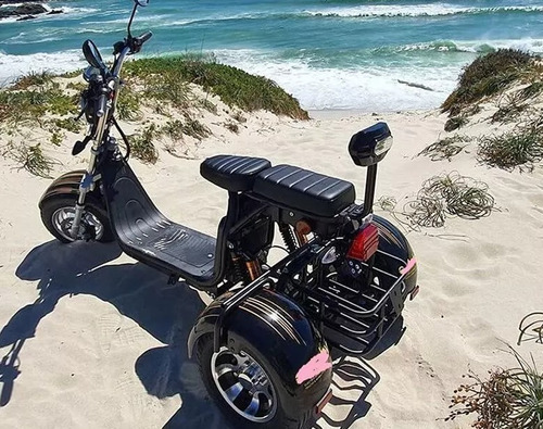 Imagen 14 de 15 de Moto Scooter Trimoto 3 Ruedas 2000w 20ah Autonomía 50km