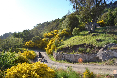 Terreno Lote En Venta Ubicado En Alihuen Bajo, San Martin De Los Andes