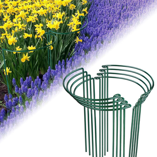 8pcs Apoyo Para La Planta Apotos Garden De Jardín 20cmx35cm