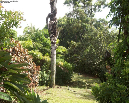 Chácara - Ch01536 - 2416711
