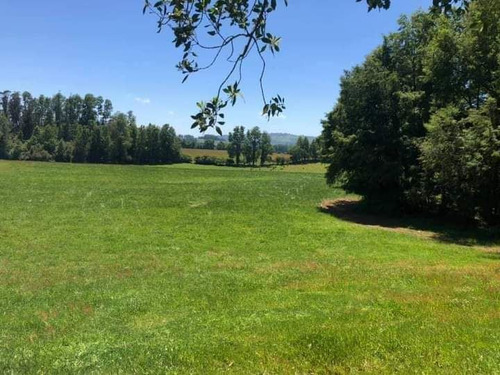 Parcelas En Frutillar, Bosques Y Praderas. Financiamiento