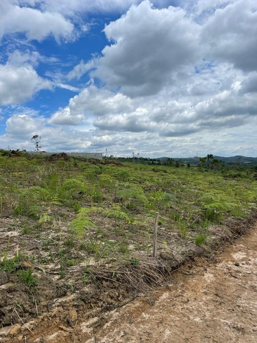Imagem 3 de 17 de 08- Terrenos A Venda Em Mogi Das Cruzes