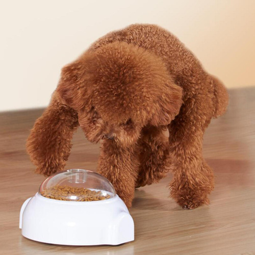 Juguete De Comida Con Fugas Para Perros, Juguete S