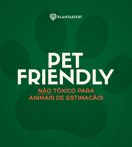 Adubo Npk 10kg Nutrição Completa Com Npk Concentrado