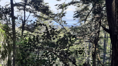 Imagen 6 de 13 de Venta Lote 1 En Altos Del Faldeo 1133m2 Con Planos Aprobados, V. La Angostura