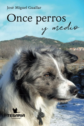 Libro: Once Perros Y Medio (spanish Edition)